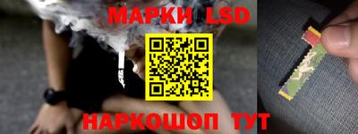 хмурый Дубна