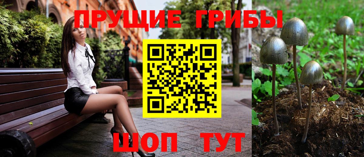 Псилоцибиновые грибы мухоморы Луга