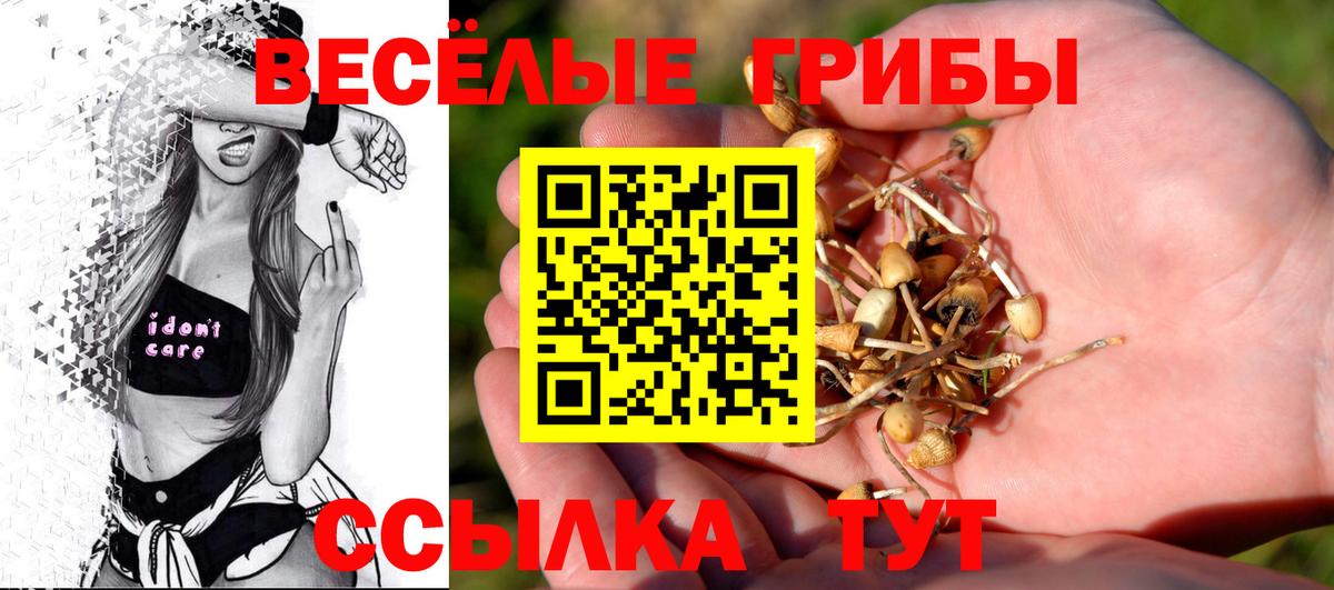 Луга  Галлюциногенные грибы Cubensis  Вход с VPN 